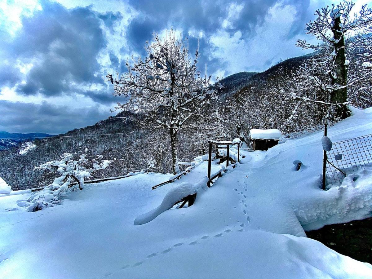 B&B La Presa Molino del Pallone Exteriör bild